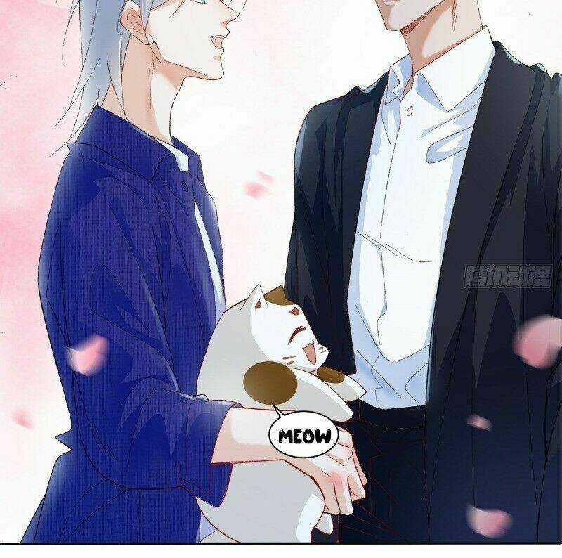 Ảnh Đế Yêu Hồ Chapter 42 trang 8