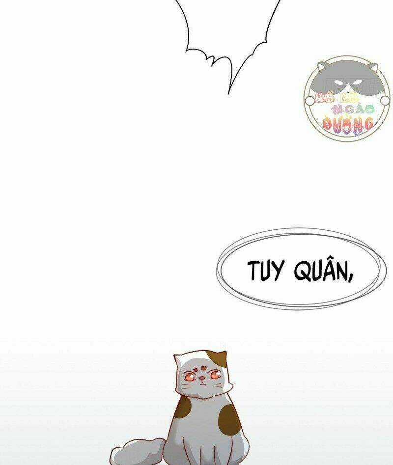 Ảnh Đế Yêu Hồ Chapter 43 trang 32