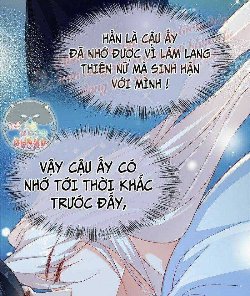 Ảnh Đế Yêu Hồ Chapter 43 trang 42