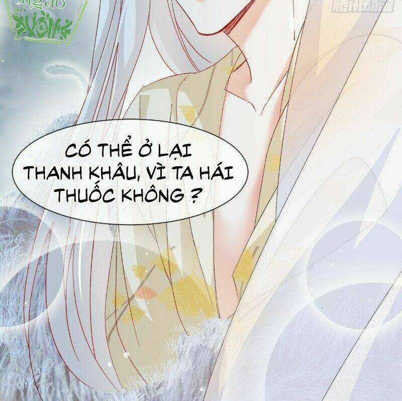 Ảnh Đế Yêu Hồ Chapter 44 trang 22