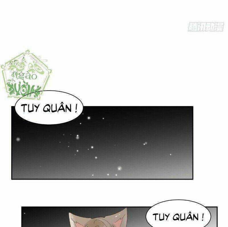 Ảnh Đế Yêu Hồ Chapter 44 trang 3