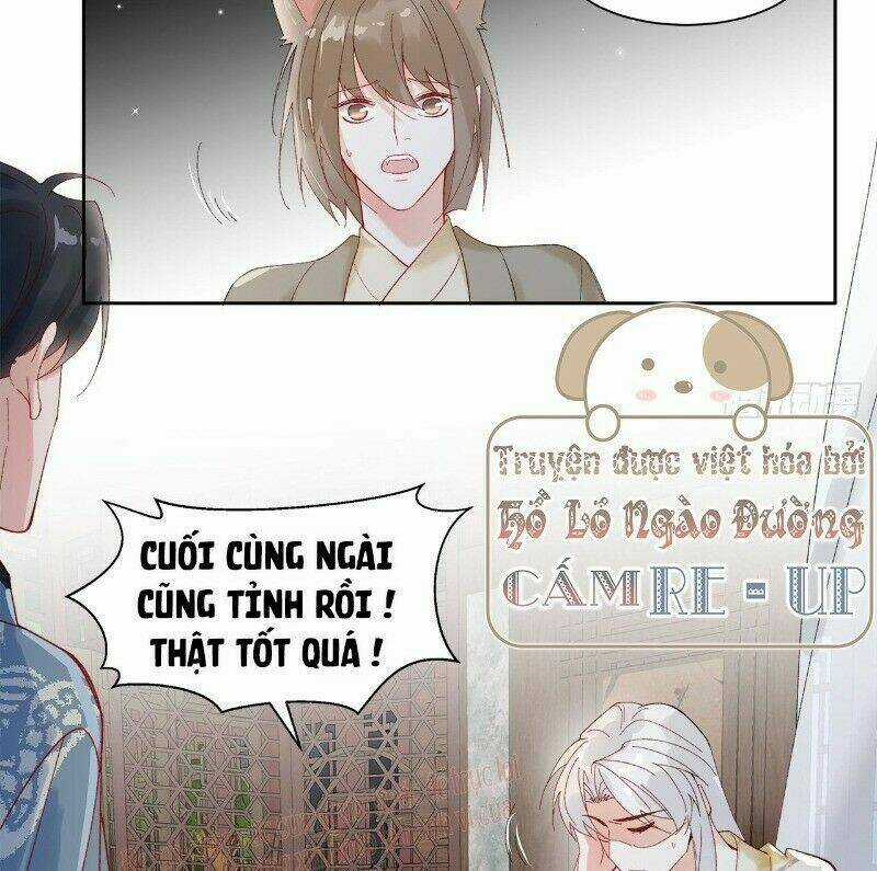 Ảnh Đế Yêu Hồ Chapter 44 trang 4