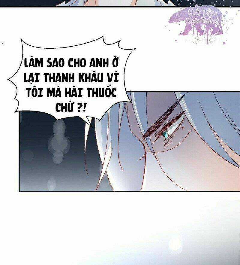 Ảnh Đế Yêu Hồ Chapter 45 trang 12