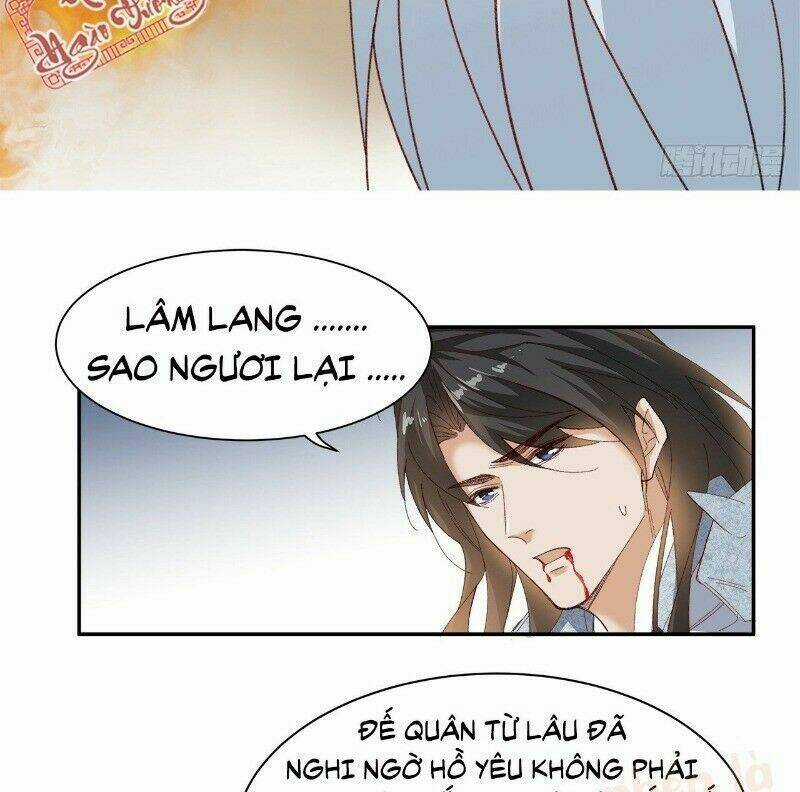 Ảnh Đế Yêu Hồ Chapter 48 trang 39