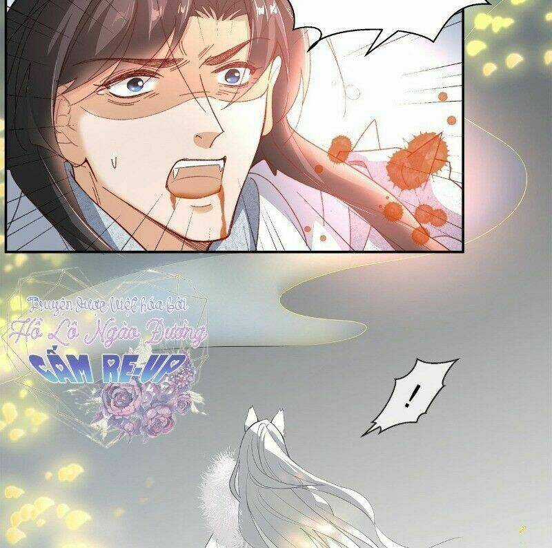 Ảnh Đế Yêu Hồ Chapter 48 trang 47