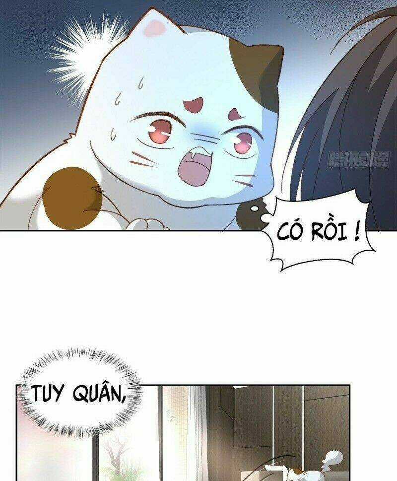 Ảnh Đế Yêu Hồ Chapter 50 trang 41