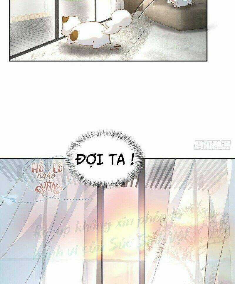 Ảnh Đế Yêu Hồ Chapter 50 trang 42