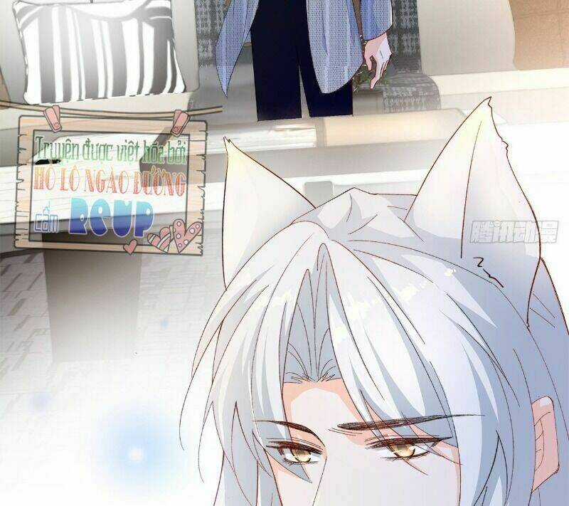 Ảnh Đế Yêu Hồ Chapter 51 trang 16