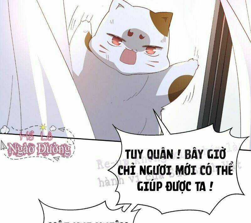 Ảnh Đế Yêu Hồ Chapter 51 trang 21