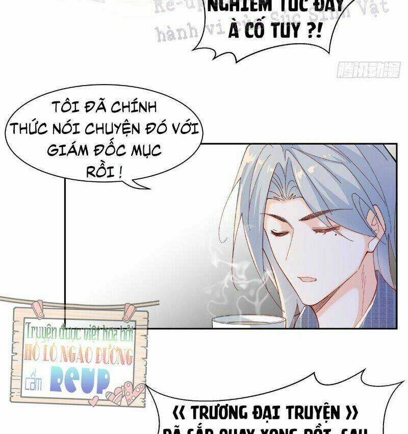 Ảnh Đế Yêu Hồ Chapter 51 trang 4