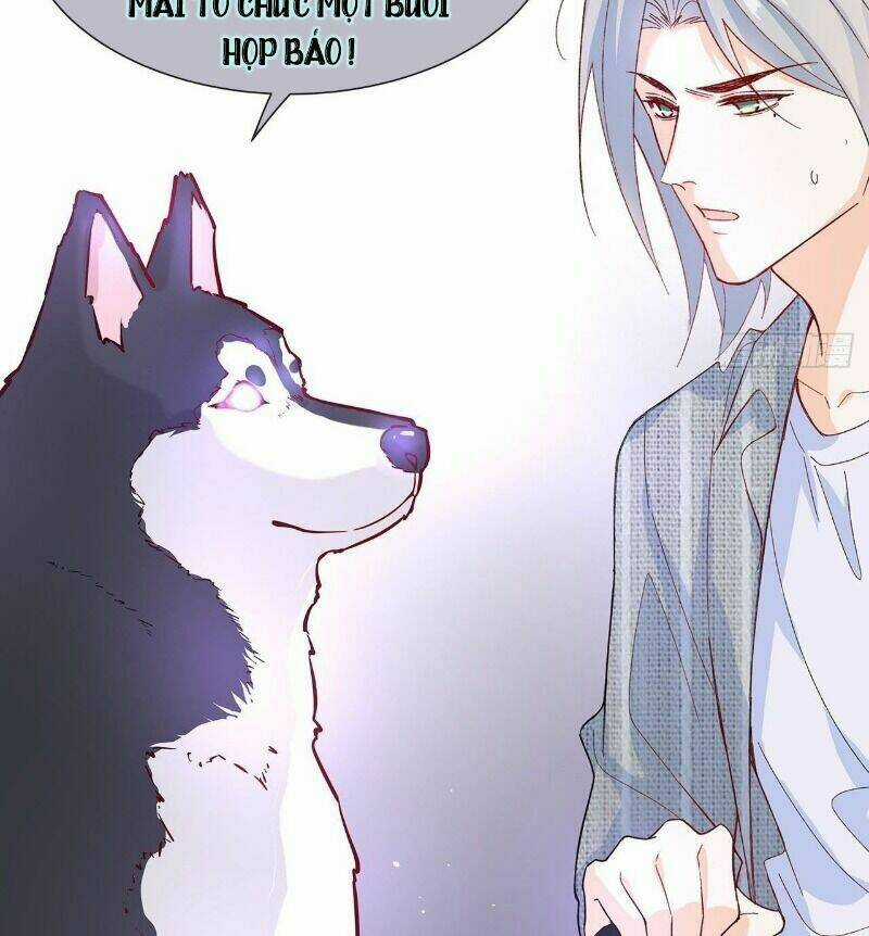 Ảnh Đế Yêu Hồ Chapter 51 trang 41