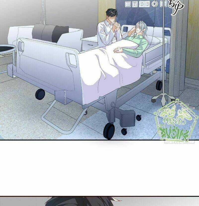 Ảnh Đế Yêu Hồ Chapter 56 trang 13