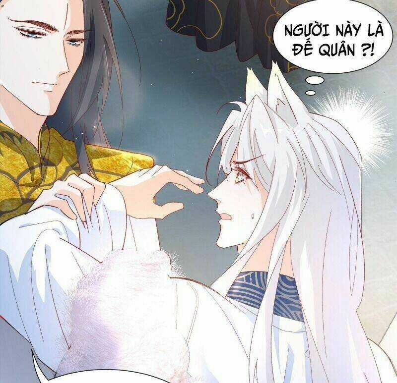 Ảnh Đế Yêu Hồ Chapter 56 trang 57