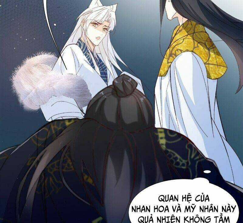 Ảnh Đế Yêu Hồ Chapter 56 trang 66