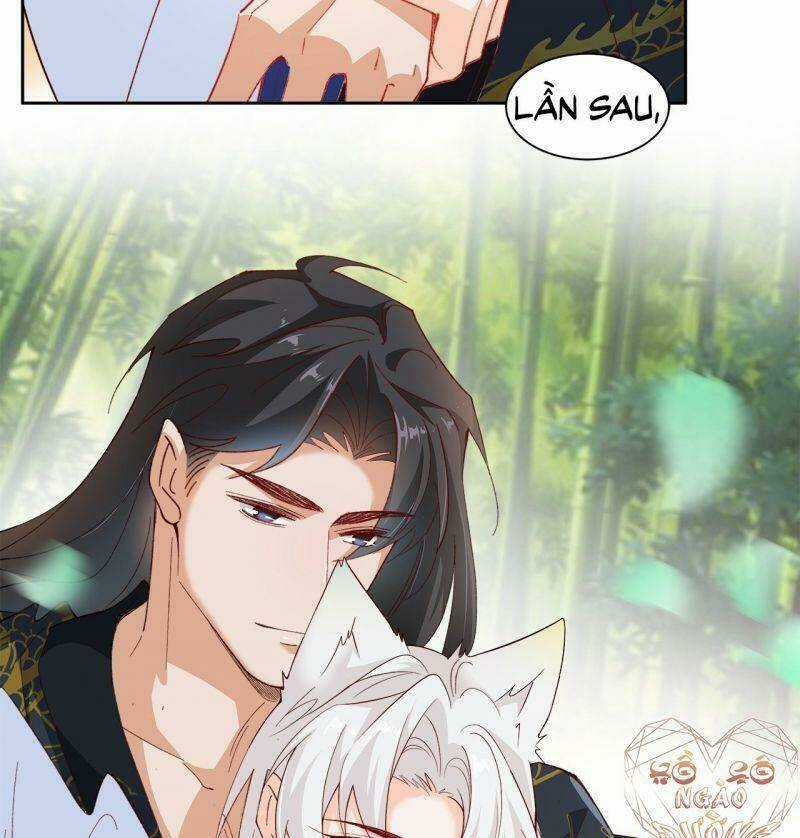 Ảnh Đế Yêu Hồ Chapter 59 trang 15