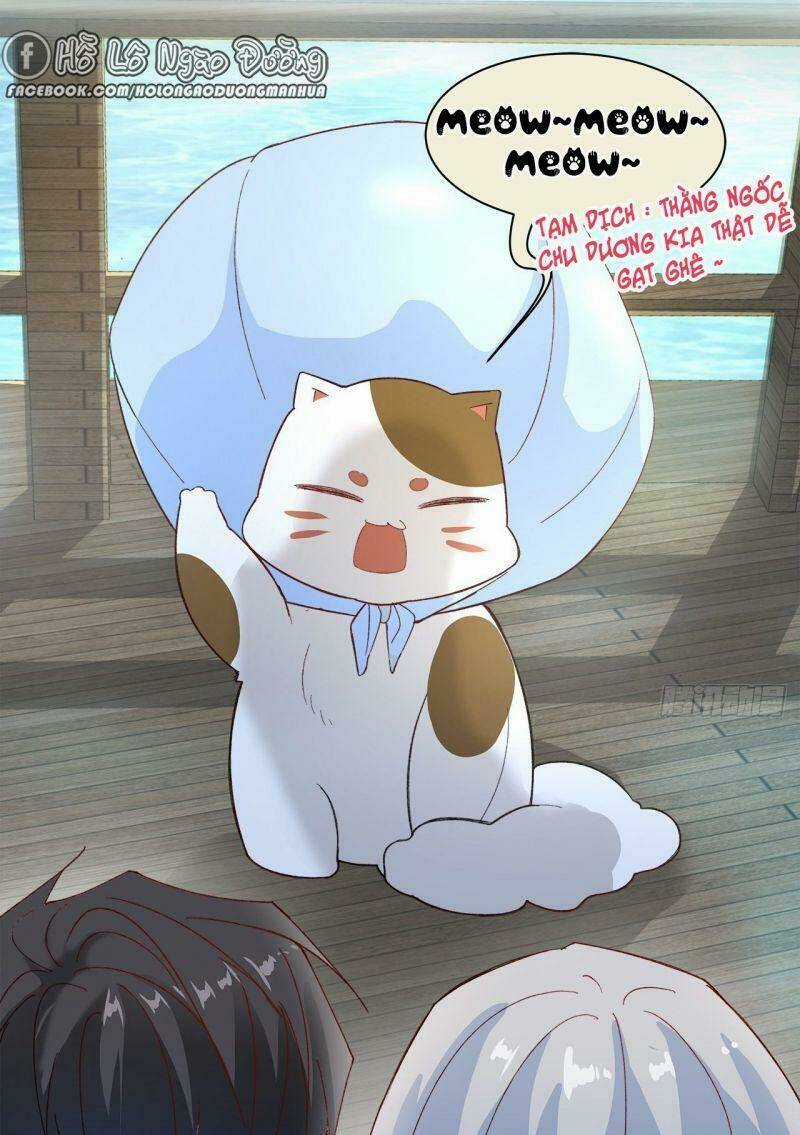 Ảnh Đế Yêu Hồ Chapter 62 trang 37