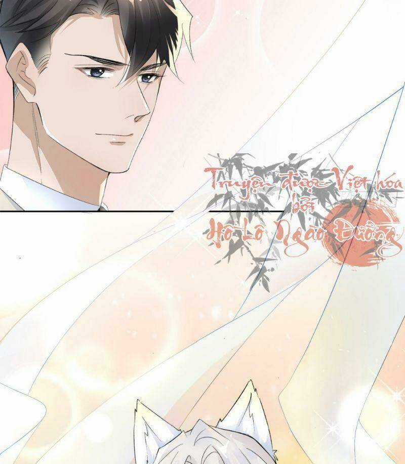 Ảnh Đế Yêu Hồ Chapter 7 trang 5