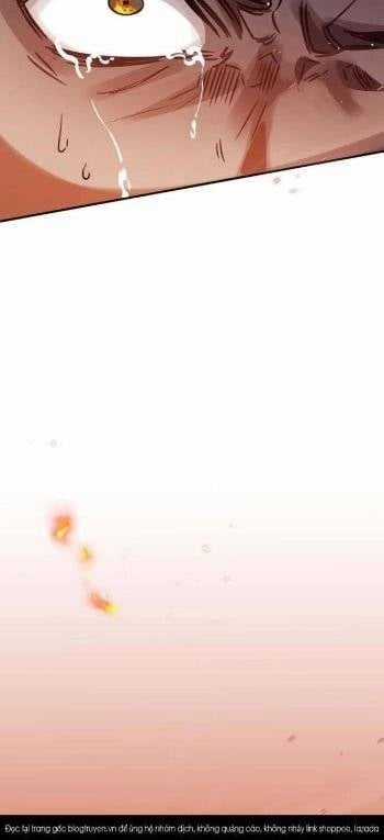 Anh Hùng, Ác Quỷ Và Kẻ Phản Diện Chapter 38 trang 12