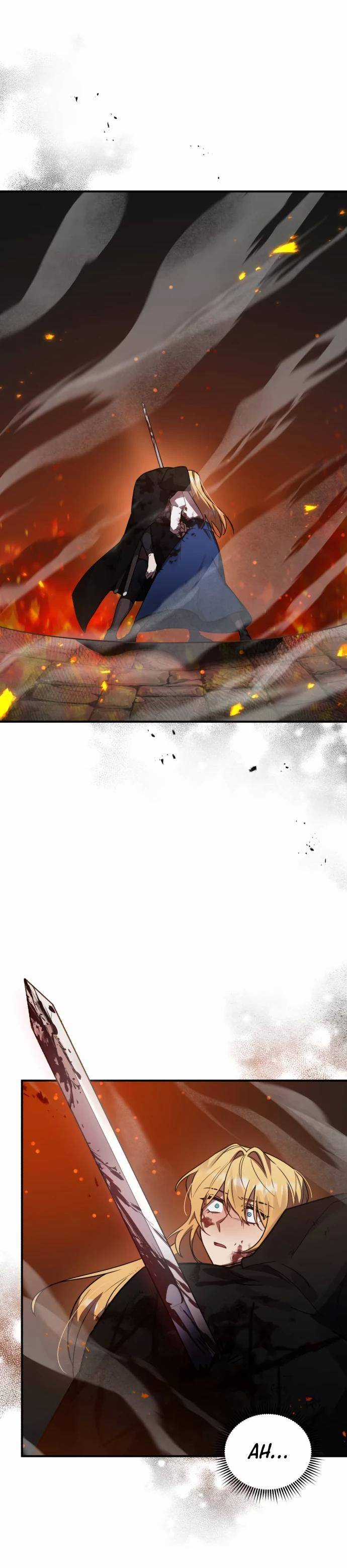 Anh Hùng, Ác Quỷ Và Kẻ Phản Diện Chapter 44 trang 2