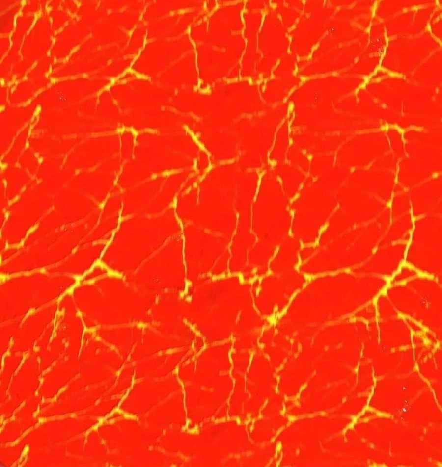 Anh Hùng Giai Cấp Tư Sản Chapter 101 trang 29