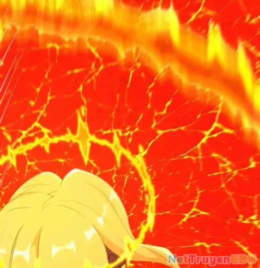 Anh Hùng Giai Cấp Tư Sản Chapter 102 trang 103