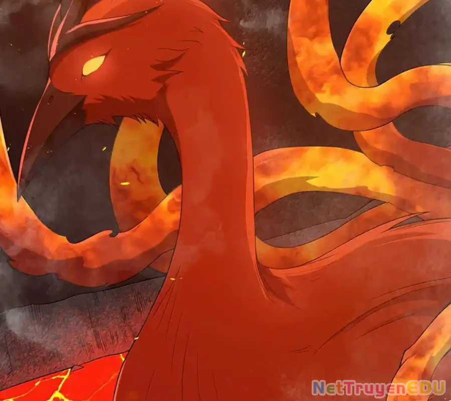 Anh Hùng Giai Cấp Tư Sản Chapter 95 trang 5