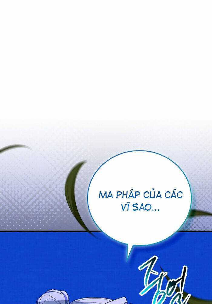 Anh Hùng Huyền Thoại Là Học Viên Danh Dự Của Học Viện Chương 19 trang 70