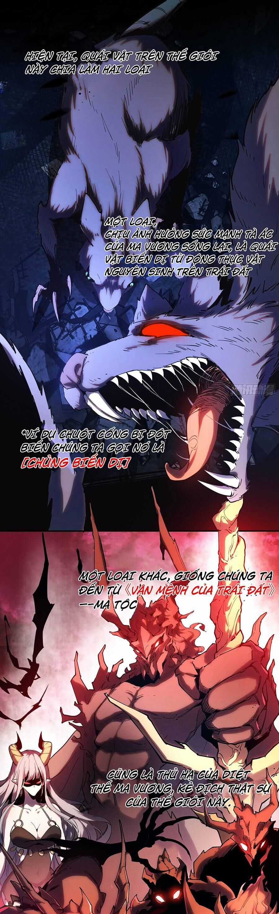 Anh Hùng Mạnh Nhất Lịch Sử Chuyển Sinh Và Vô Tình Trở Nên Vô Dịch Ở Học Viện Chapter 15 trang 14