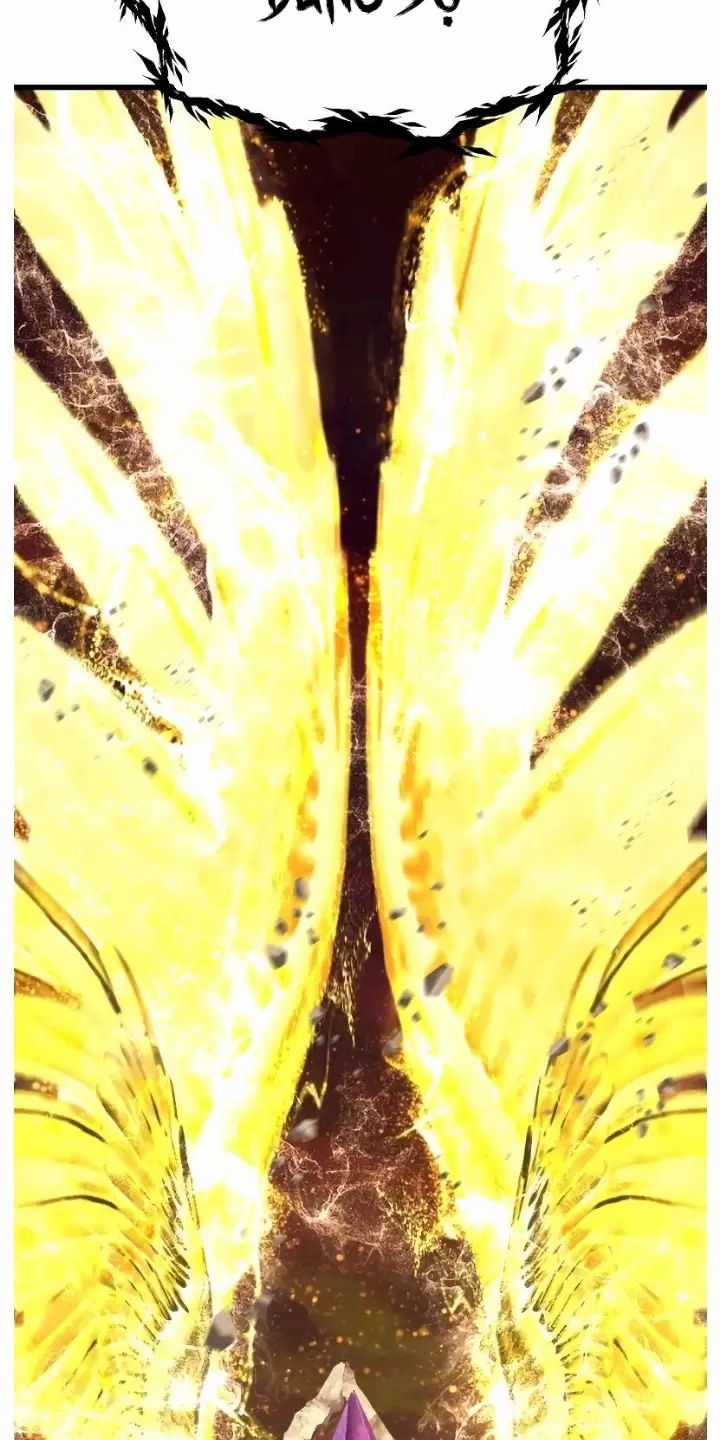 Anh Hùng Mạnh Nhất? Ta Không Làm Lâu Rồi! Chương 204 trang 13