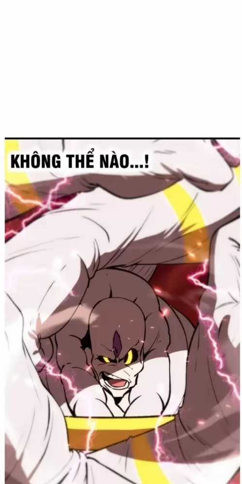 Anh Hùng Mạnh Nhất? Ta Không Làm Lâu Rồi! Chương 208 trang 71