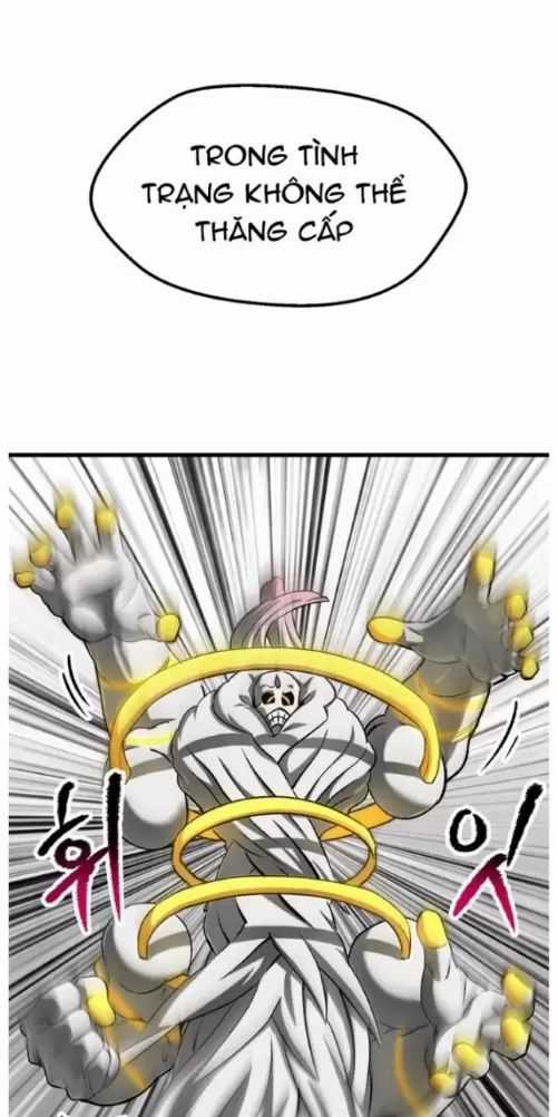 Anh Hùng Mạnh Nhất? Ta Không Làm Lâu Rồi! Chương 209 trang 12