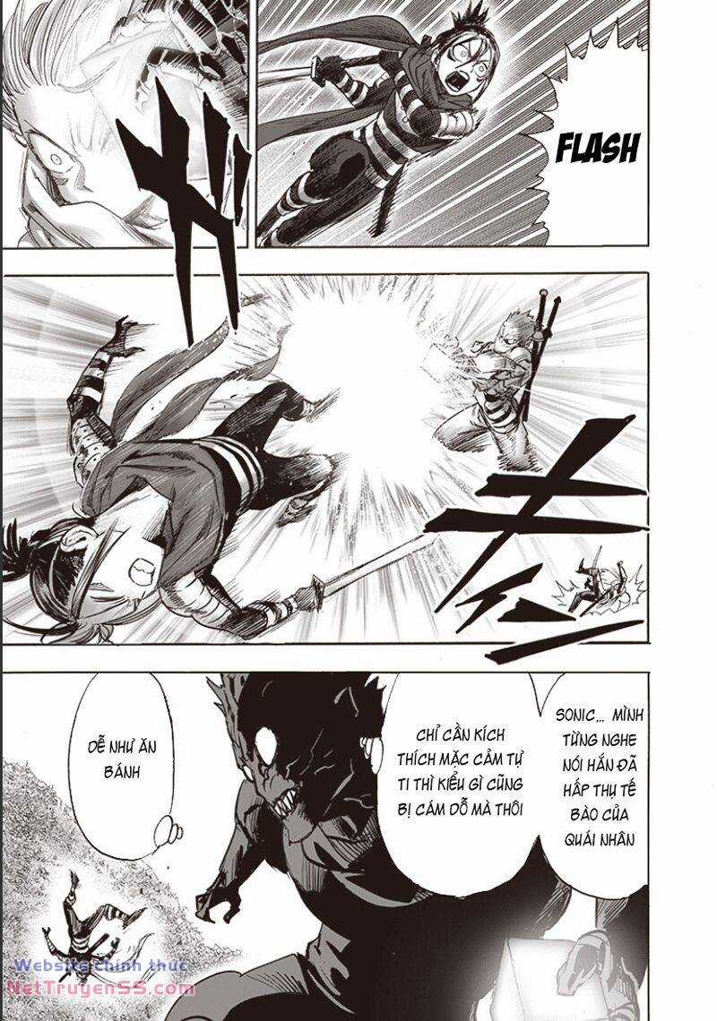 Anh Hùng Onepunch Chapter 248 trang 19