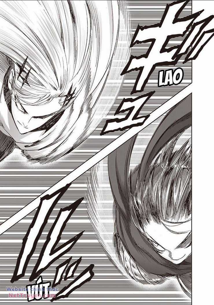 Anh Hùng Onepunch Chapter 253 trang 13