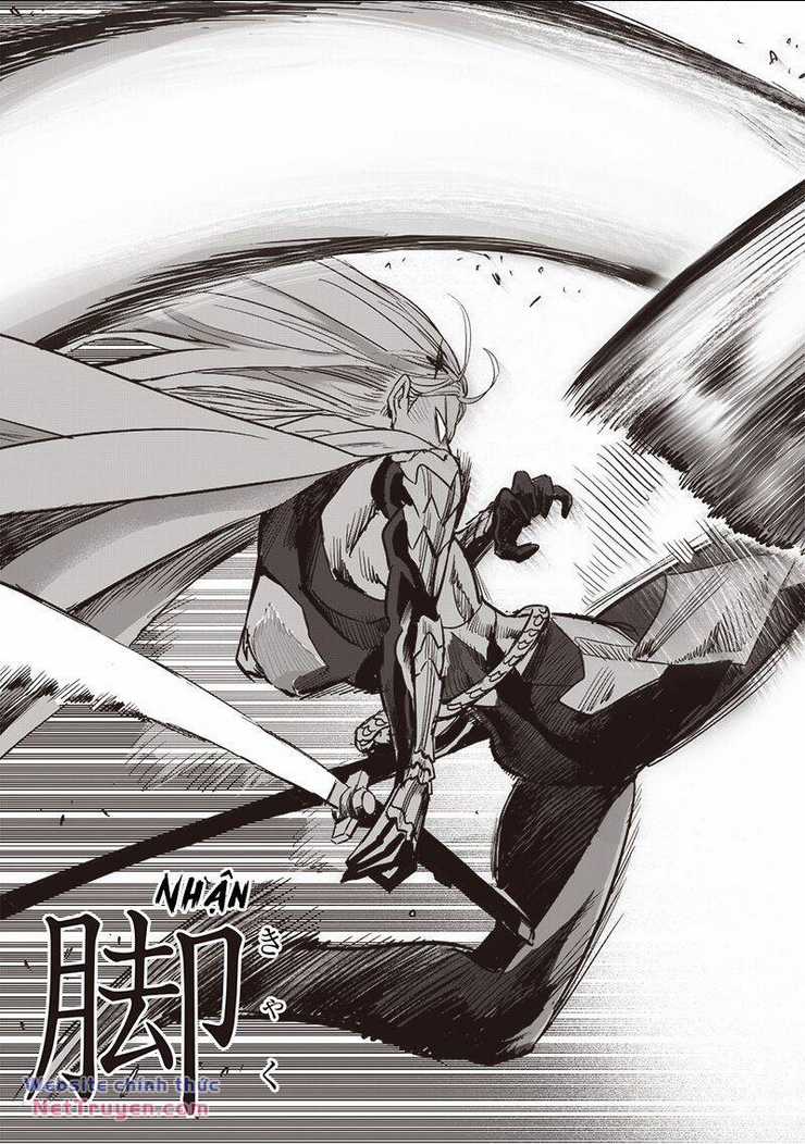 Anh Hùng Onepunch Chapter 253 trang 15