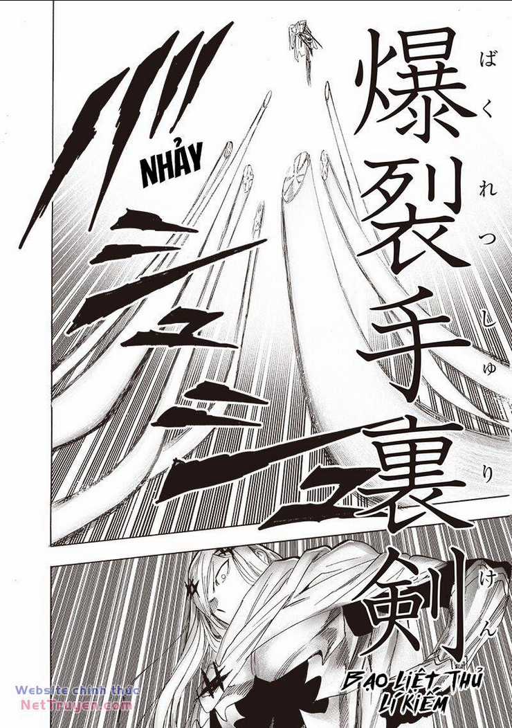 Anh Hùng Onepunch Chapter 253 trang 20