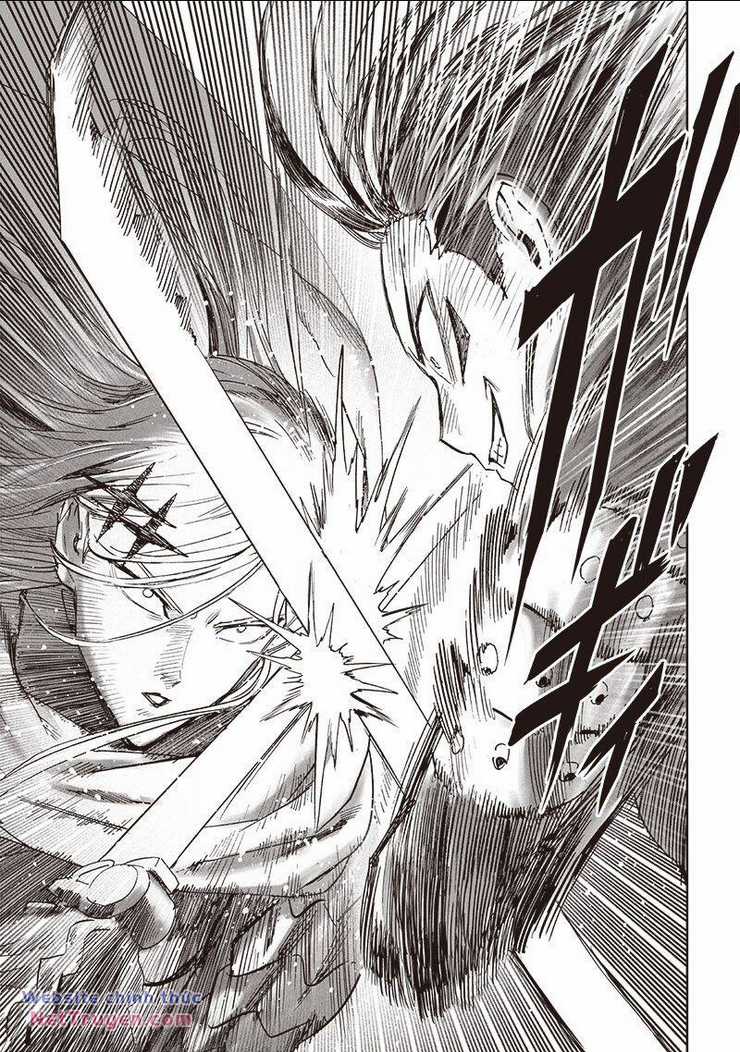 Anh Hùng Onepunch Chapter 253 trang 9