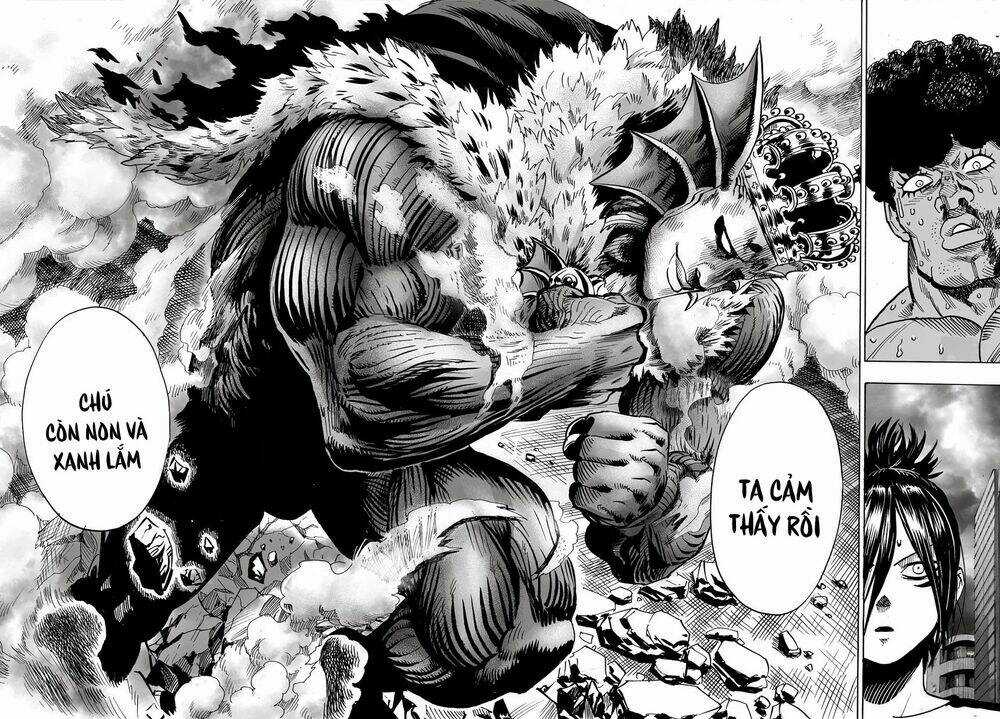 Anh Hùng Onepunch Chapter 30 trang 41