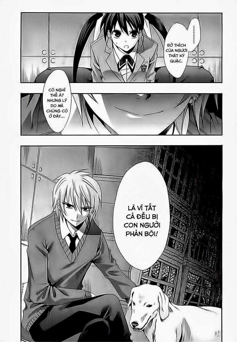 Anh Hùng Xấu Xa Chapter 26 trang 17