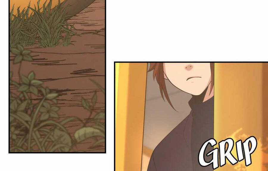 Ánh Sáng Cuối Con Đường Chương 129 trang 171