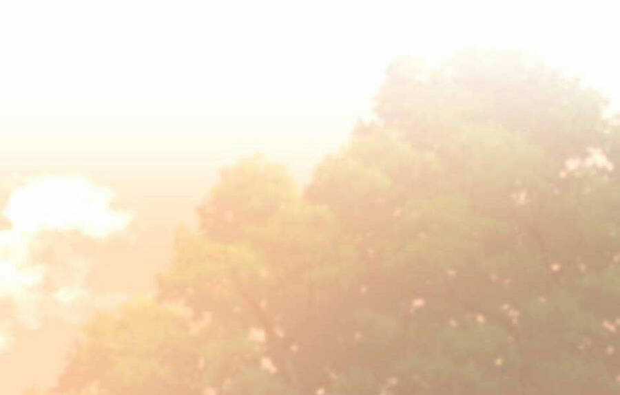 Ánh Sáng Cuối Con Đường Chương 129 trang 181