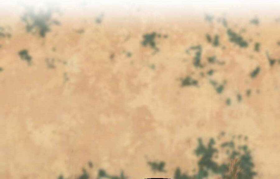 Ánh Sáng Cuối Con Đường Chương 129 trang 235