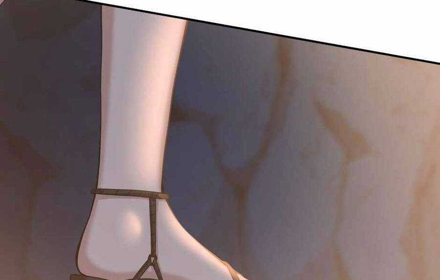 Ánh Sáng Cuối Con Đường Chương 130 trang 225