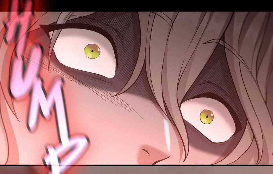 Ánh Sáng Cuối Con Đường Chương 132 trang 158