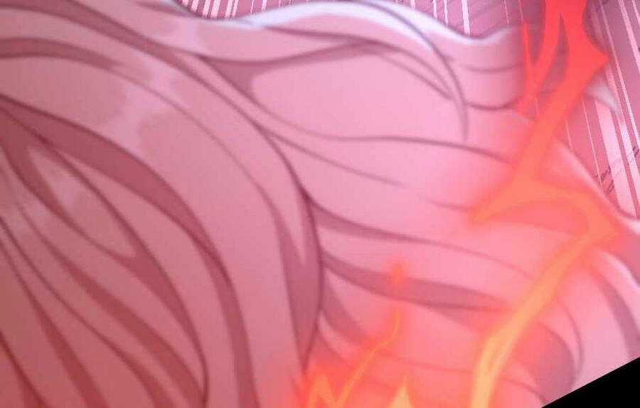 Ánh Sáng Cuối Con Đường Chương 132 trang 256