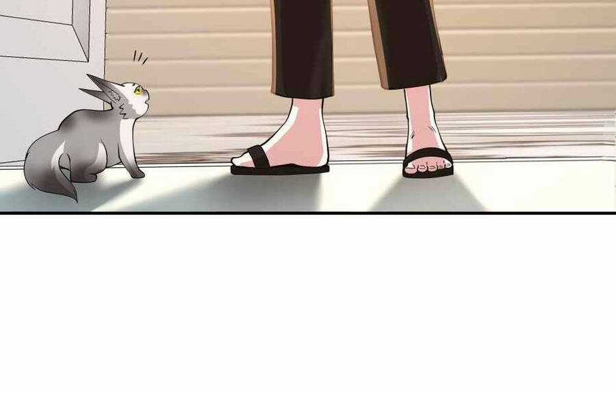 Ánh Sáng Cuối Con Đường Chương 133 trang 138