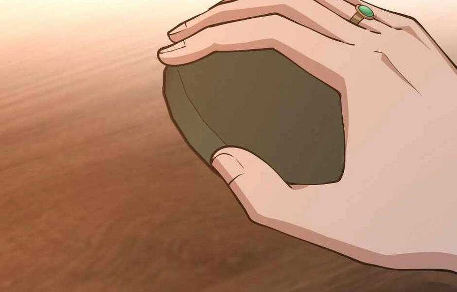 Ánh Sáng Cuối Con Đường Chương 133 trang 30