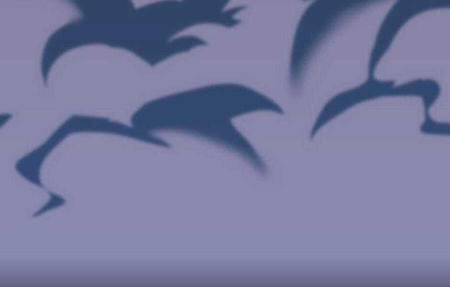 Ánh Sáng Cuối Con Đường Chương 140 trang 24