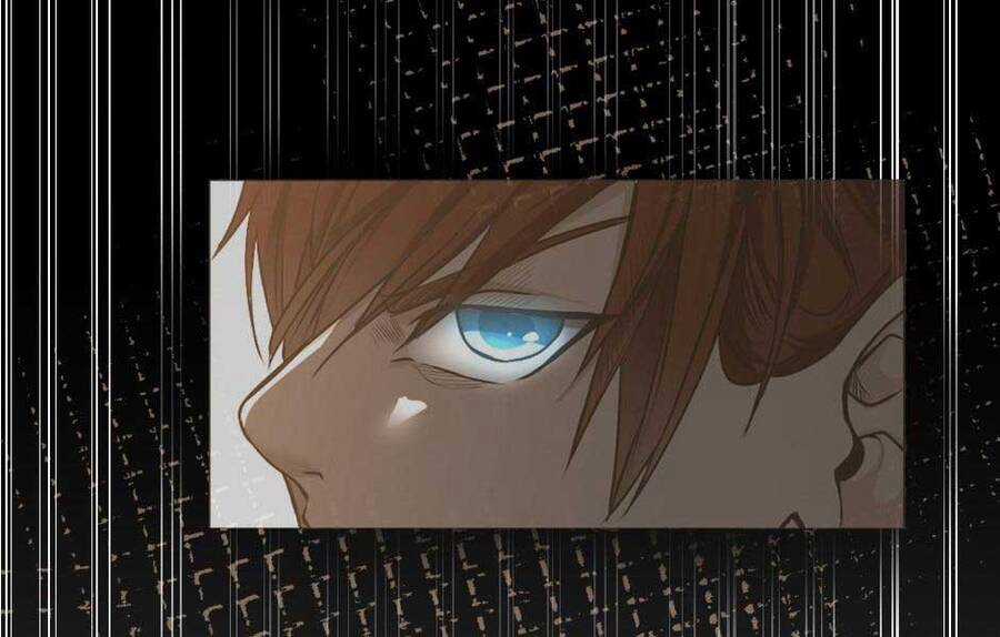 Ánh Sáng Cuối Con Đường Chương 144 trang 242