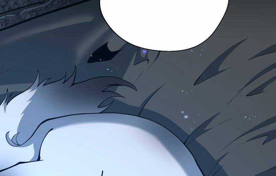 Ánh Sáng Cuối Con Đường Chương 147 trang 70