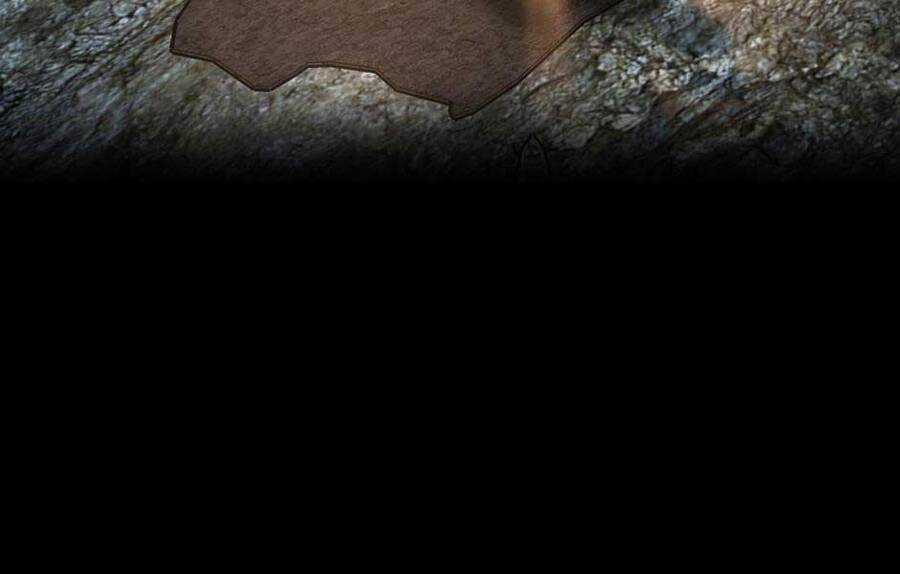 Ánh Sáng Cuối Con Đường Chương 148 trang 151